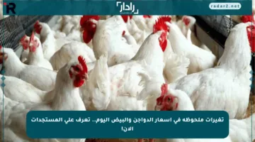 تغيرات ملحوظة في أسعار الدواجن والبيض اليوم.. تعرف على المستجدات الآن!